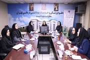 برگزاری نشست کارشناسان سلامت مادران معاونت بهداشت و شبکه‌های بهداشت و درمان تحت پوشش