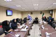 جلسه ادواری گروه سلامت روان با کارشناسان ستادی، مسئولین و کارشناسان شبکه‌های تحت پوشش دانشگاه علوم پزشکی تهران در معاونت بهداشت