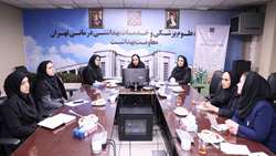 نشست کارشناسان سلامت مادران معاونت بهداشت 