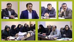 کمیته ایدز استان تهران برگزار شد 