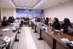 برگزاری اولین جلسه هماهنگی دفاتر خدمات سلامت در سال 1402 گروه سلامت محیط معاونت بهداشت 