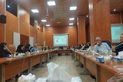 برگزاری کارگاه آموزش کلیات طب ایرانی در معاونت بهداشت دانشگاه علوم پزشکی تهران 