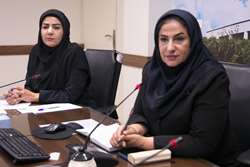 برگزاری اولین نشست تخصصی با مددکاران اجتماعی شبکه‌های بهداشت و درمان شهر‌ستان‌های ری، اسلامشهر، مرکز بهداشت جنوب و مرکز واحد‌های سراج