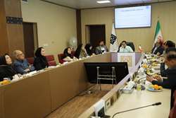 برگزاری جلسه ستاد اجرایی و هماهنگی برنامه پزشکی خانواده و نظام ارجاع در دانشگاه علوم پزشکی تهران