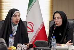 برگزاری کارگاه آموزشی تغذیه با شیر مادر و معرفی بانک شیر در تهران همزمان با هفته ملی جمعیت