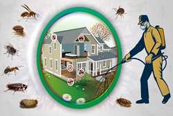 آزمون تعیین صلاحیت مسئولان فنی شرکت‌های، مبارزه با حشرات و جانوران موذی در اماکن عمومی و خانگی در معاونت بهداشت 