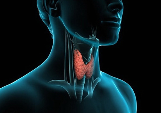 آنچه درباره بیماری تیروئید باید بدانیم  