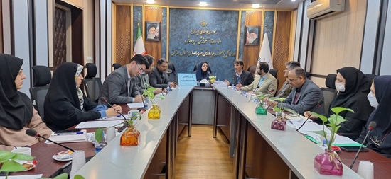 برگزاری کارگروه تخصصی استانی پایگاه تغذیه سالم 