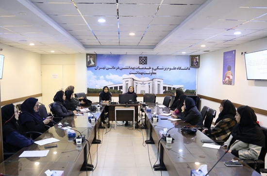برگزاری سومین روز از کارگاه مهارت‌آموزی در زمینه مشاوره شیردهی در معاونت بهداشت  