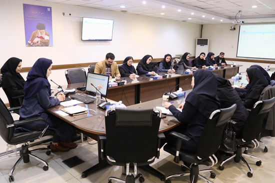 برگزاری کارگاه آموزشی سامانه جامع سلامت الکترونیک محیط و حرفه‌ای «سامح» در معاونت بهداشت 