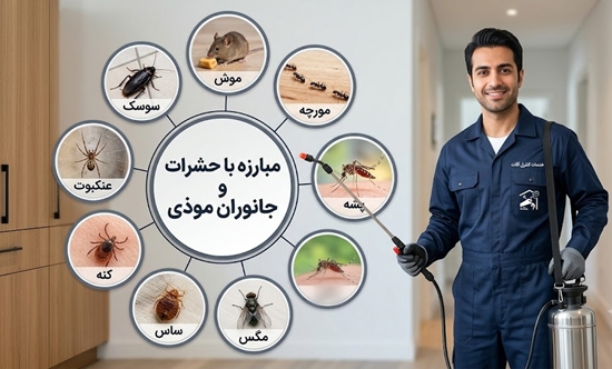 مبارزه با حشرات و جانوران موذی 