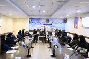 برگزاری سومین روز از کارگاه مهارت‌آموزی در زمینه مشاوره شیردهی در معاونت بهداشت 