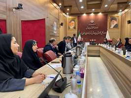 برگزاری دومین کمیته شهرستانی سلامت و نشاط اجتماعی میدان پویا در اداره کل آموزش و پرورش شهرستان‌های استان تهران 