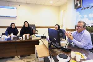 برگزاری کارگاه بهبود کیفیت نظام مراقبت HIV با هدف ارتقای همکاری‌های بین‌بخشی