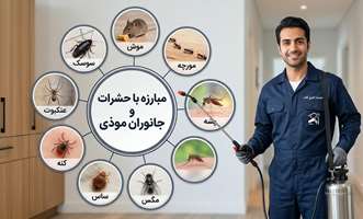 برگزاری آزمون تعیین صلاحیت مسئولان فنی شرکت‌های مبارزه با حشرات و جانوران موذی در معاوت بهداشت