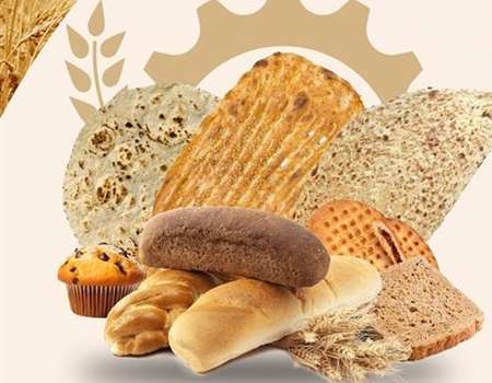 آغاز پویش ملی اطلاع رسانی تغذیه سالم ۱۴۰۴ نان و سلامت    