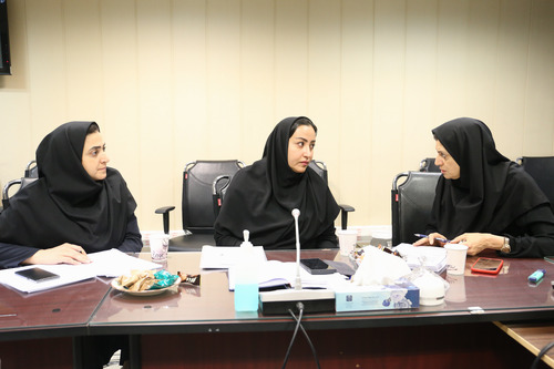 برگزاری نشست کارشناسان برنامه سلامت مادران استان تهران در معاونت بهداشت 